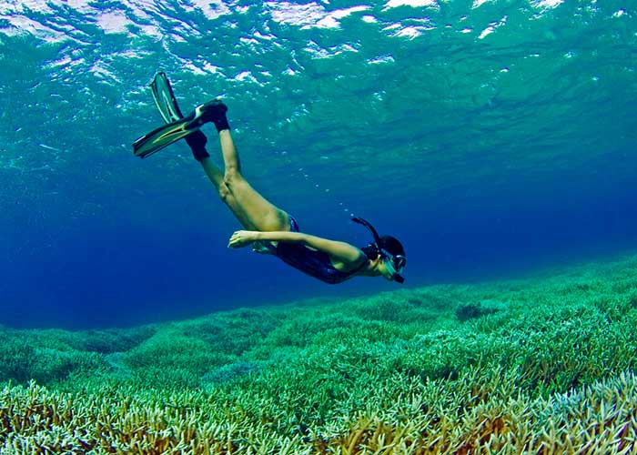Snorkeling Pigeon Island, Things to do in Sri Lanka, Travel and Tour Packages, Sri Lanka Holidays