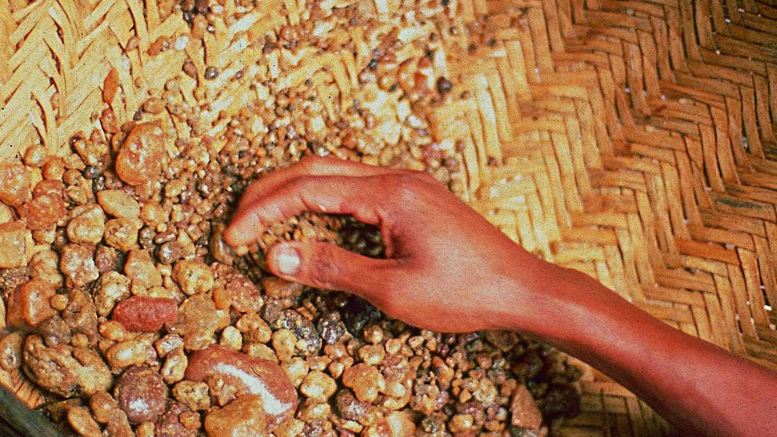 Visit a Gem mine in Ratnapura with an expert, Sri Lanka Holiday Package, Tour Packages, Soul Sri Lanka