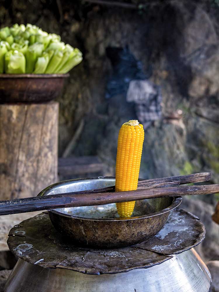 Visit Sri Lanka, Places to Stay, Things to do, Holiday